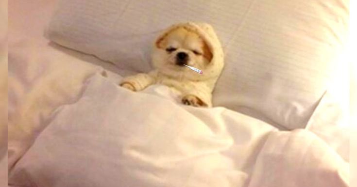 Julyandre23's tweet image. Ta mañana 😪