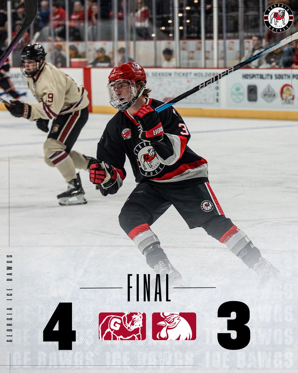 UGA Hockey tweet media