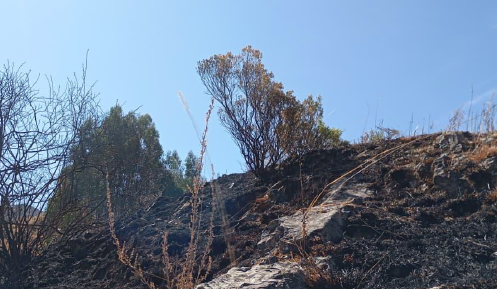 COENPeru's tweet photo. Actualización: #IncendioForestal en los sectores Rahuay y Matara, distrito #Musga, provincia Mariscal Luzuriaga (Áncash), se extinguió por condiciones meteorológicas. Gobierno local culminó la #EDAN, que reportó 10 ha de vegetación consumida. Emergencia atendida. https://t.co/FrHypVyGg9
