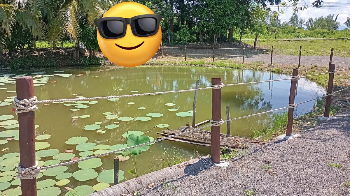 ลิตเติ้ลคิวตี้ปรินเตอร์ tweet media