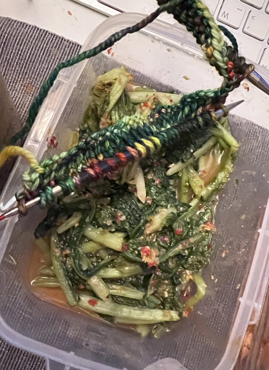 고도로 발달한 손염색사는…. 열무 김치