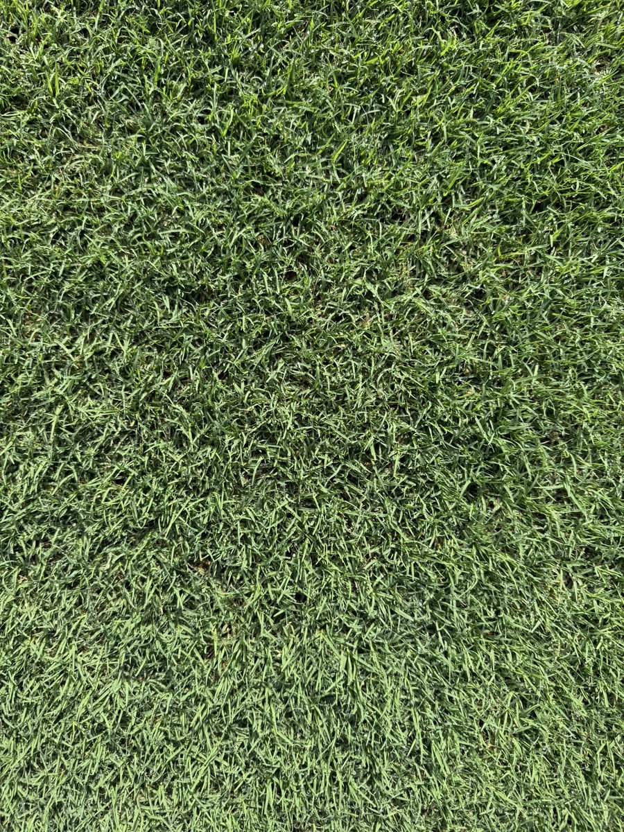 Un proyecto más entregado en tiempo y forma! 
6-7 meses de construcción total de un campo y establecimiento no es sencillo! Se nos ha hecho costumbre, y de la buena! 
Estadio Juan Ramón Breve Vargas, Juticalpa, Honduras
Césped Híbrido Horizon de FlexGrass, con Bermuda Ibiza 🌱⚽️