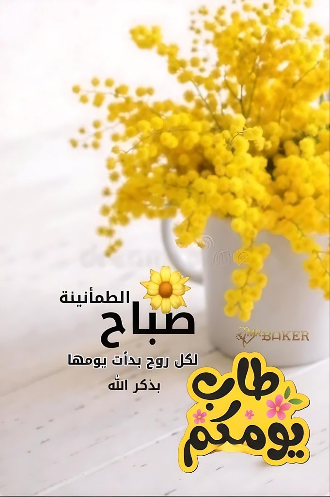 🫥 محمد الشهمي 🫥 (@maf0707) on Twitter photo 