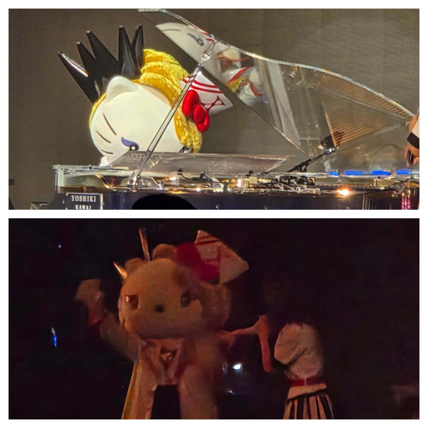 Yoshikitty - Search / X