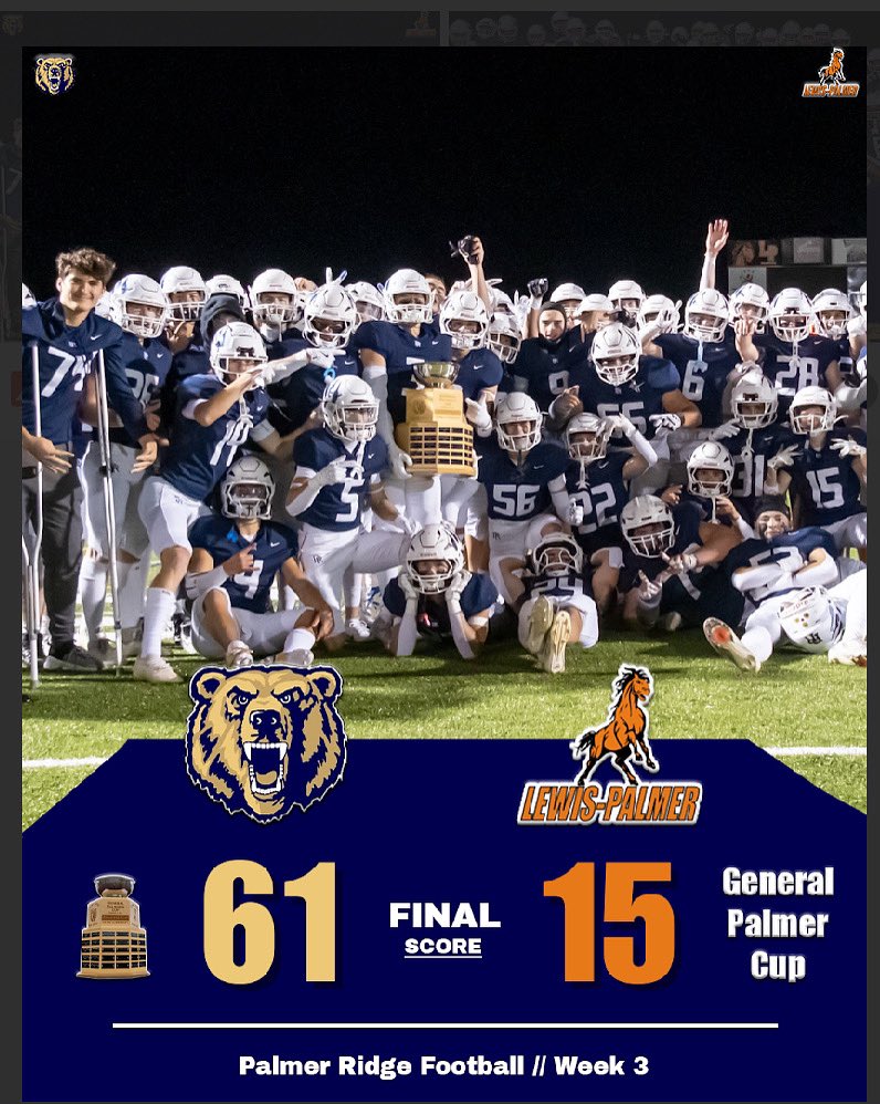 ✨ Final. 🐻 #GoldStandard