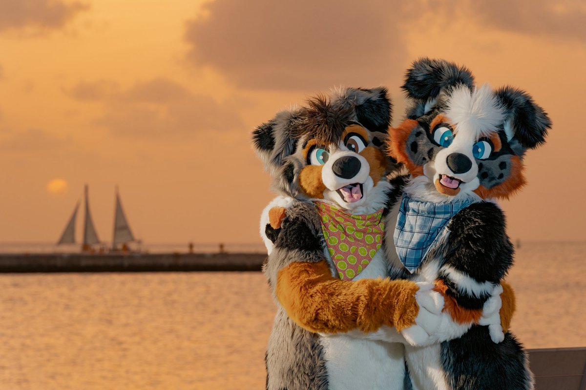 briar 🌺 tweet media