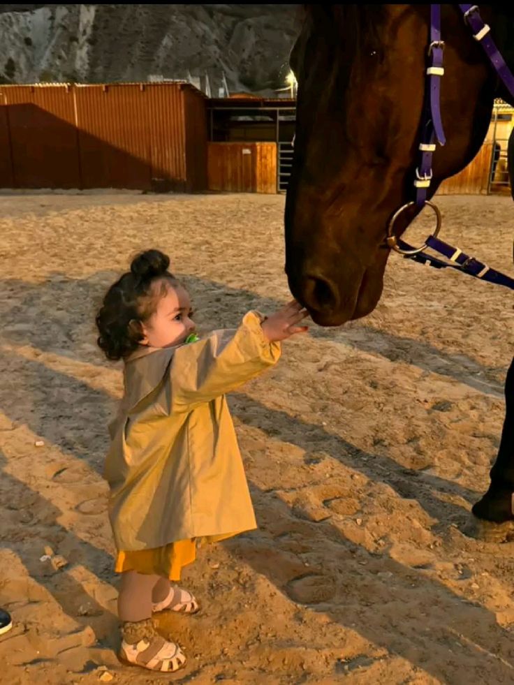 🪽 (@babysmelll) on Twitter photo 