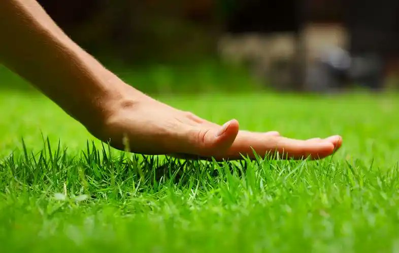 shx1314's tweet photo. 摸草  @opensea 
#openseatouchgrass https://t.co/X3xO5XLp4f