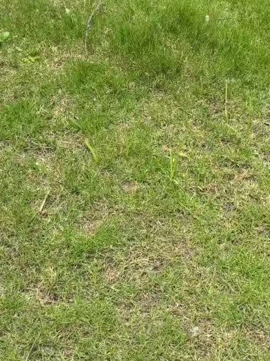 AlradiMila's tweet photo. @opensea   gmgmgmgmgm #openseatouchgrass https://t.co/gJXdclYMyP