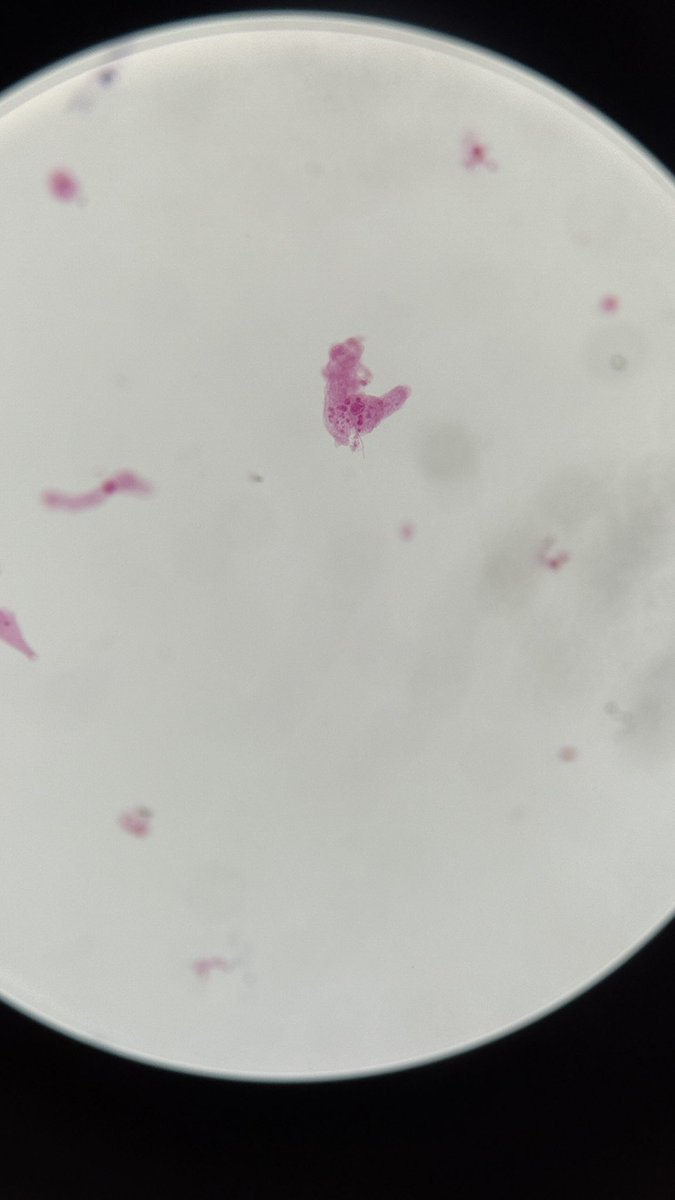 bearemoticon's tweet image. Glad this busy week is over