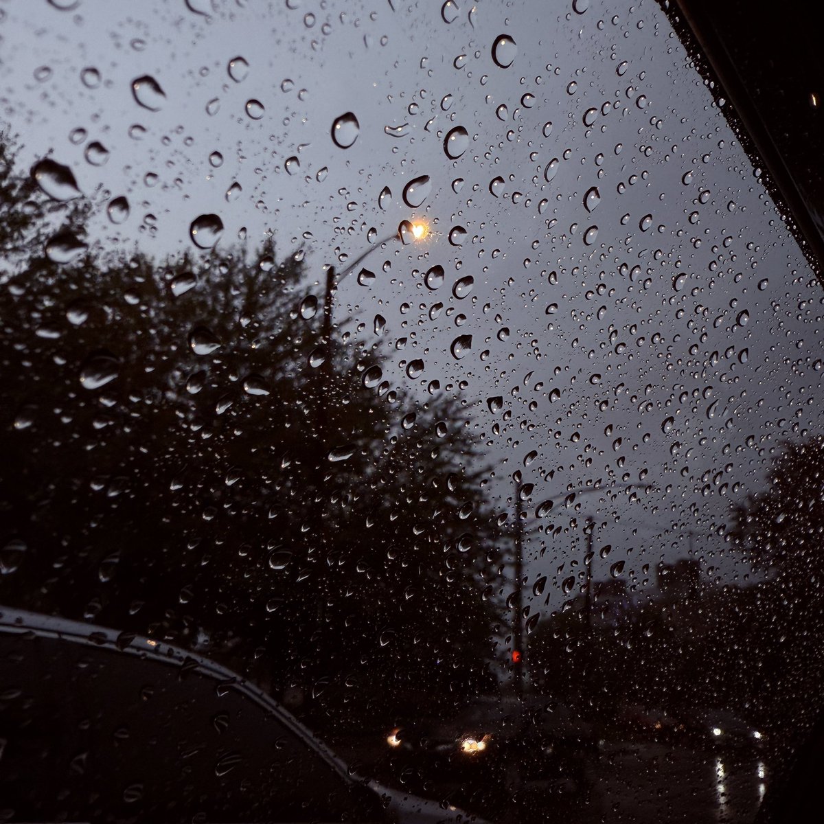 bearemoticon's tweet image. Glad this busy week is over