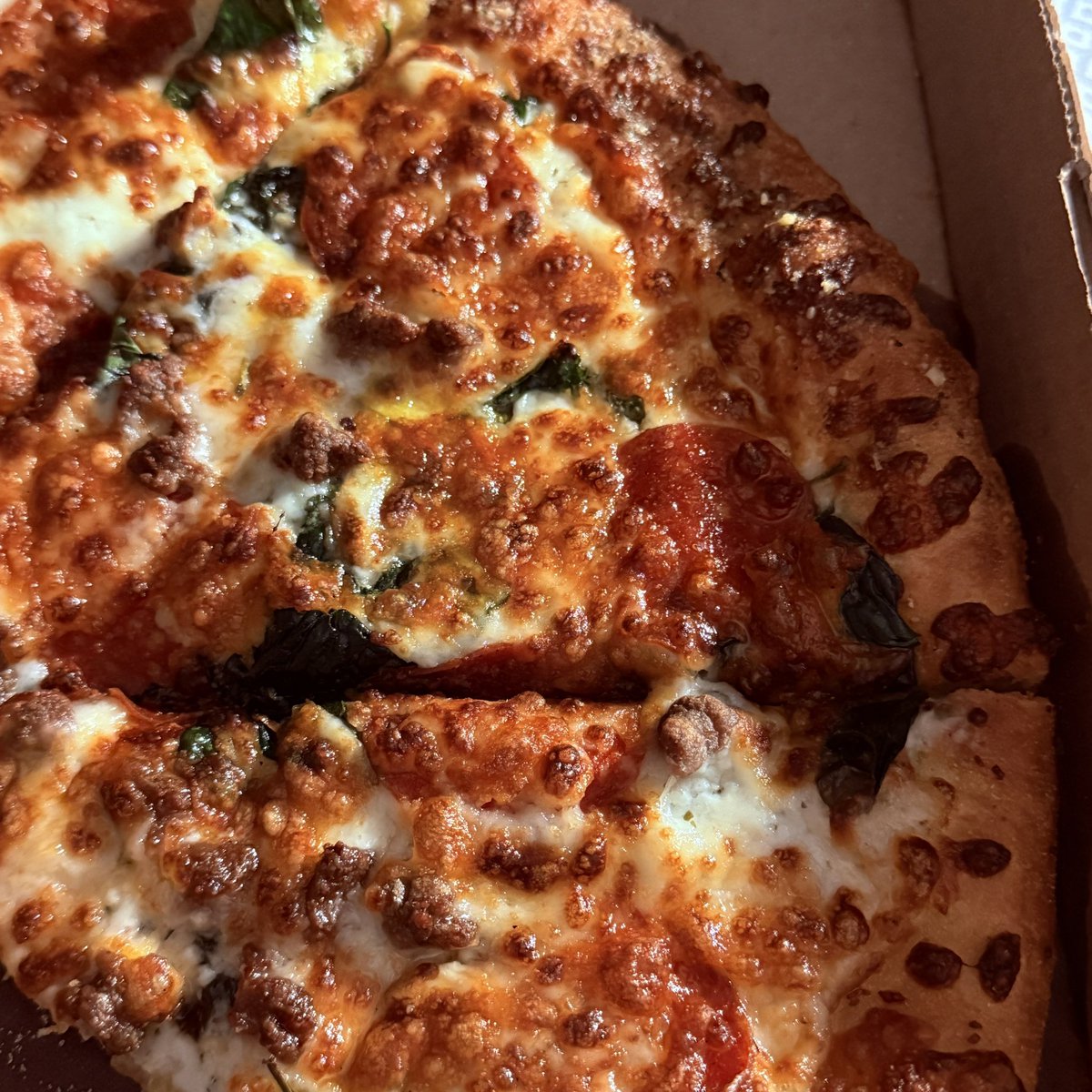 bearemoticon's tweet image. Glad this busy week is over