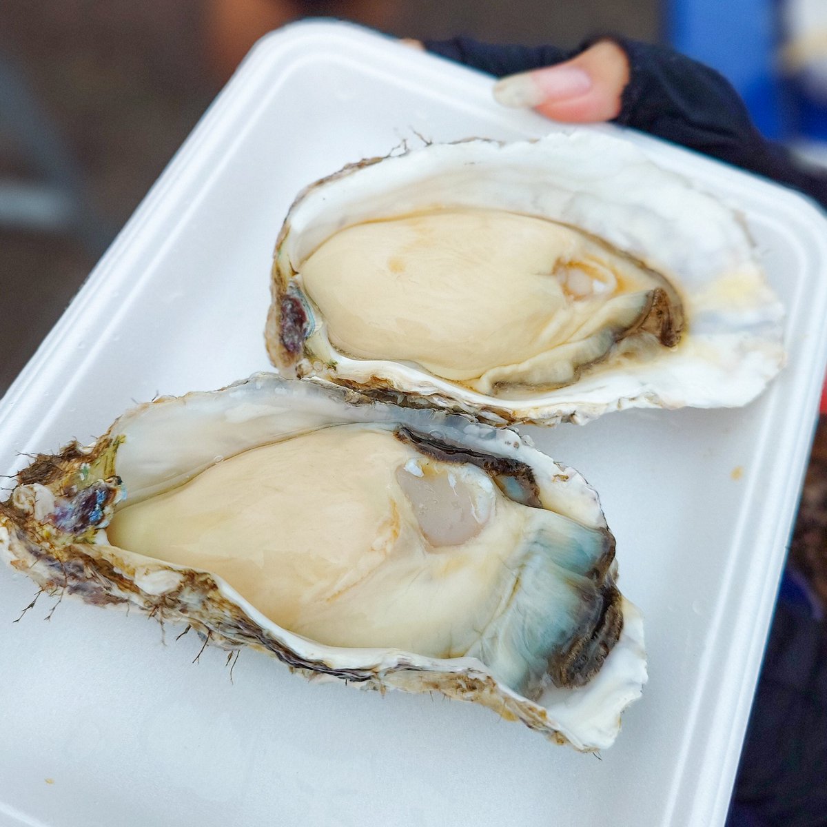 kobars_spulse's tweet image. 日本酒うめえええ！！！
生牡蠣うめえええ！！！
海鮮丼うめえええ！！！
長岡プリンうめえ！！！

新潟サイコー😋✨

#清水サポ新潟遠征