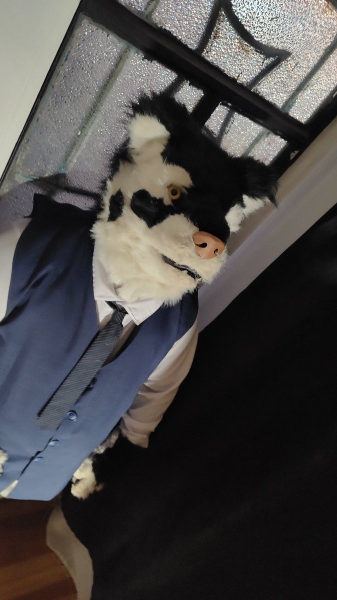 What time is it to get home?
-Uh... There was a lot of traffic....
#FursuitFriday 🐺🐶😅