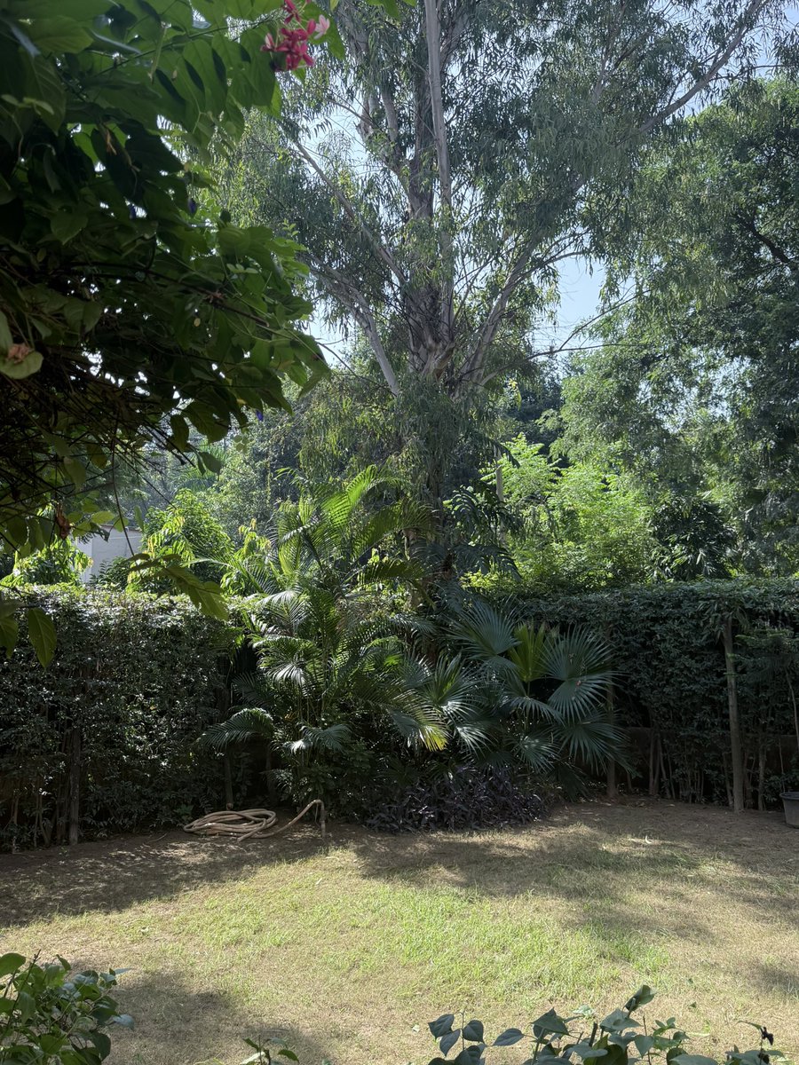 imkongla's tweet image. The corner patch I started from scratch! ( but for the tree)