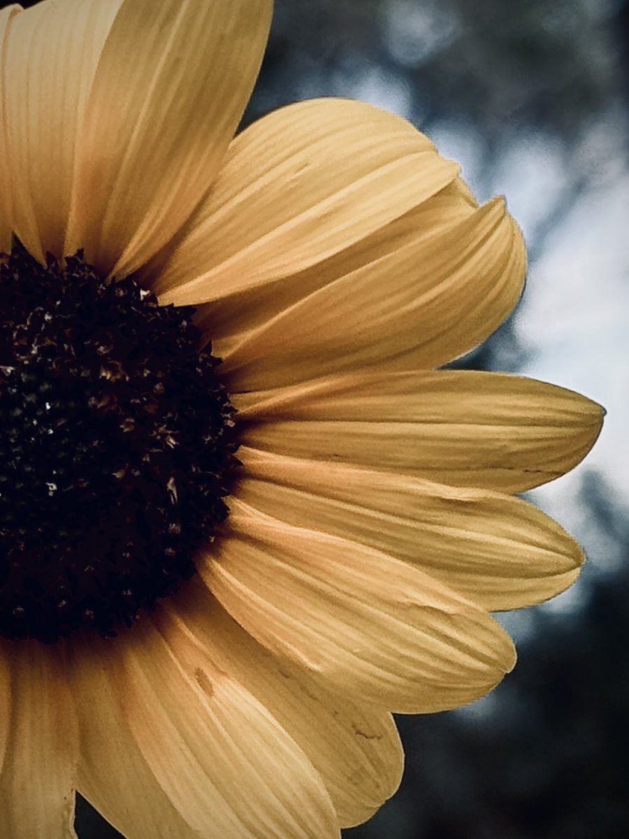 Beauty is everywhere.