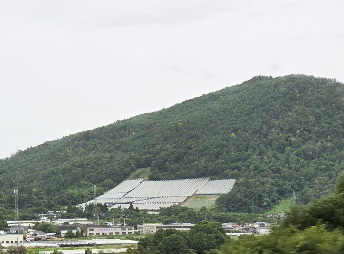 吉田戦車 第8話 中華風の炊きおこわ──吉田戦車「弁当を作る男