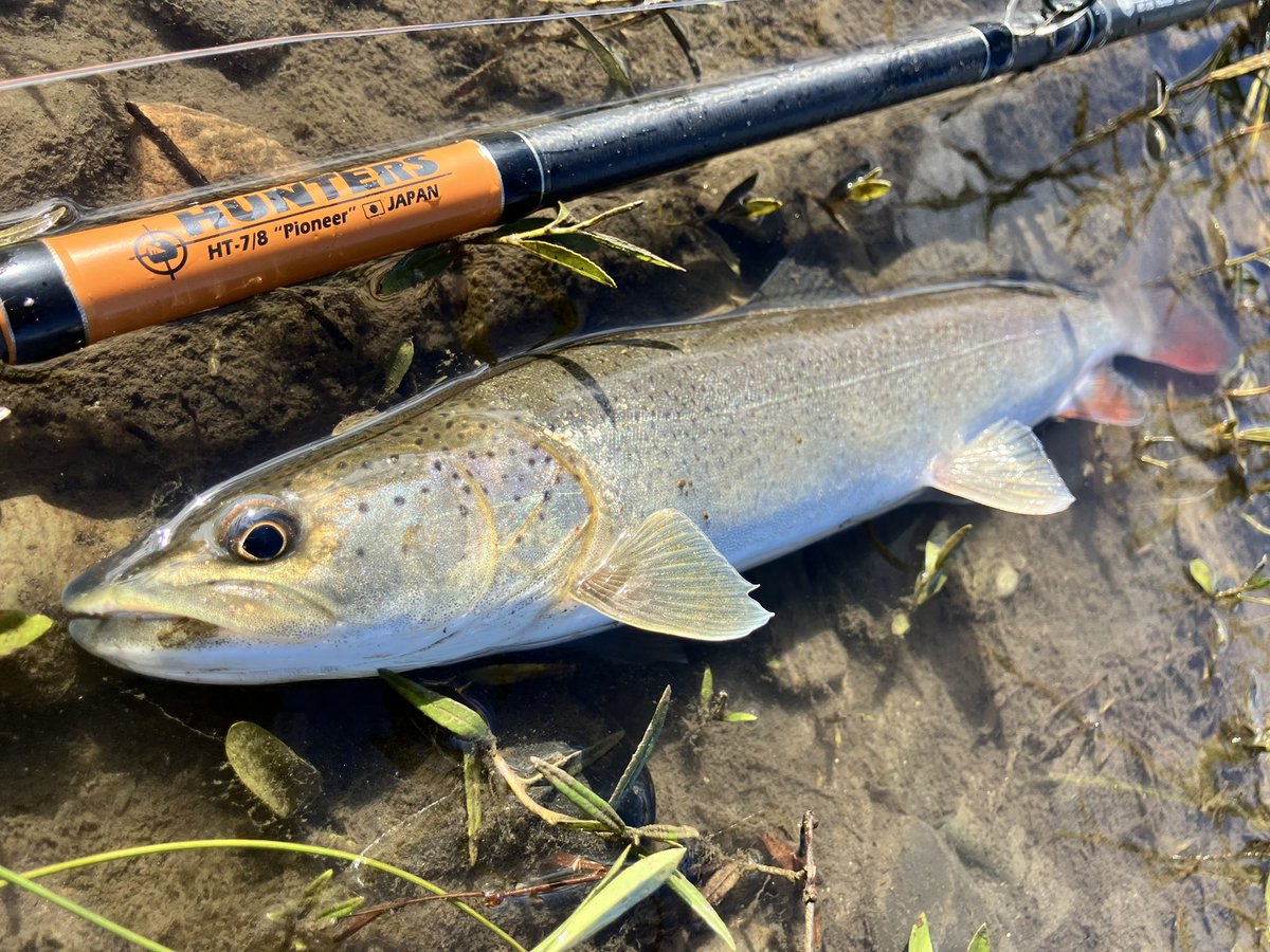 けんぞー (@KENZO_HOKKAIDO) / Posts / X