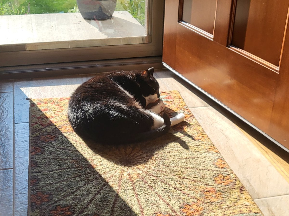 Valkyrie tweet media