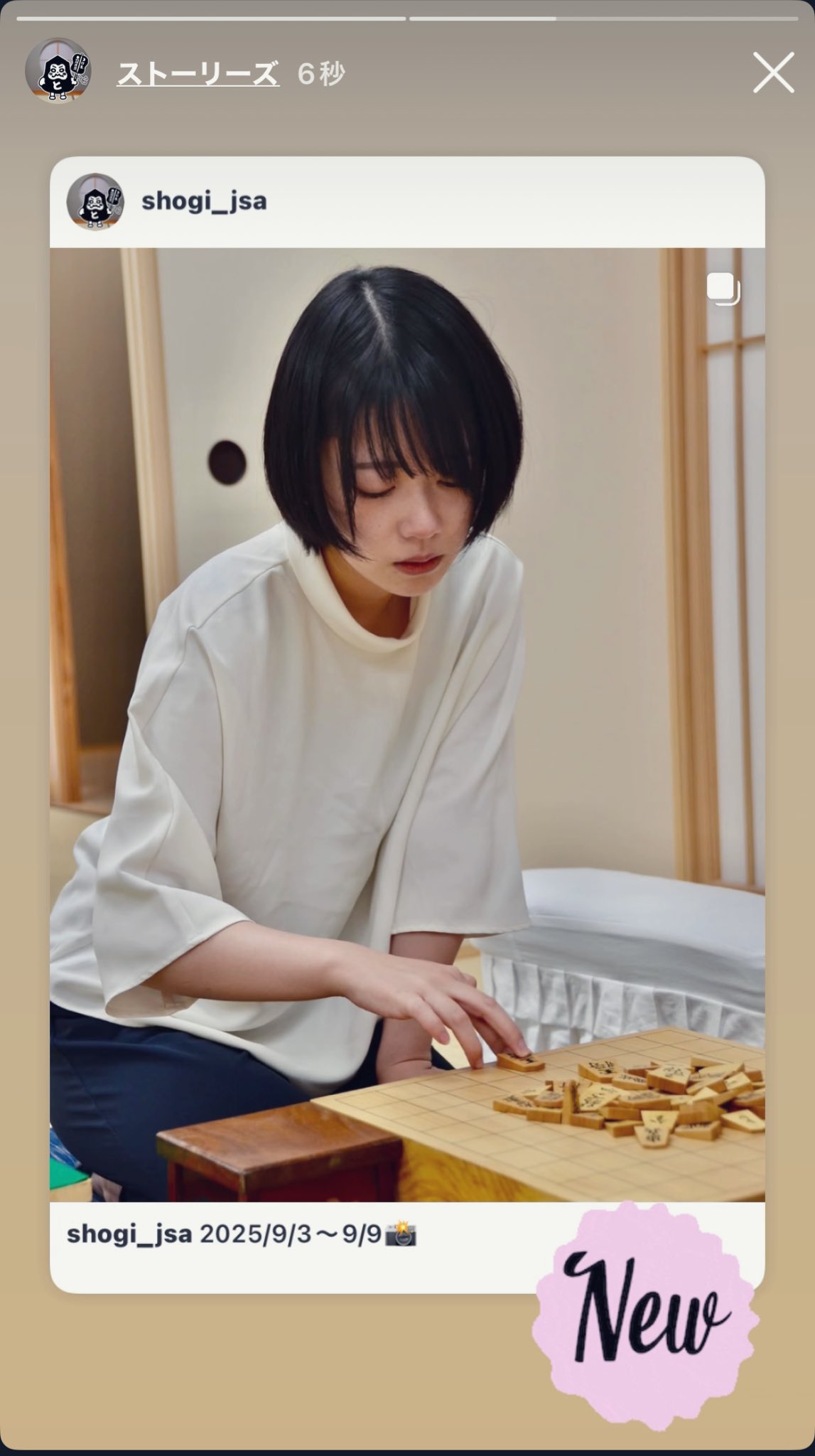 nagomineco (@nagomineco) / X