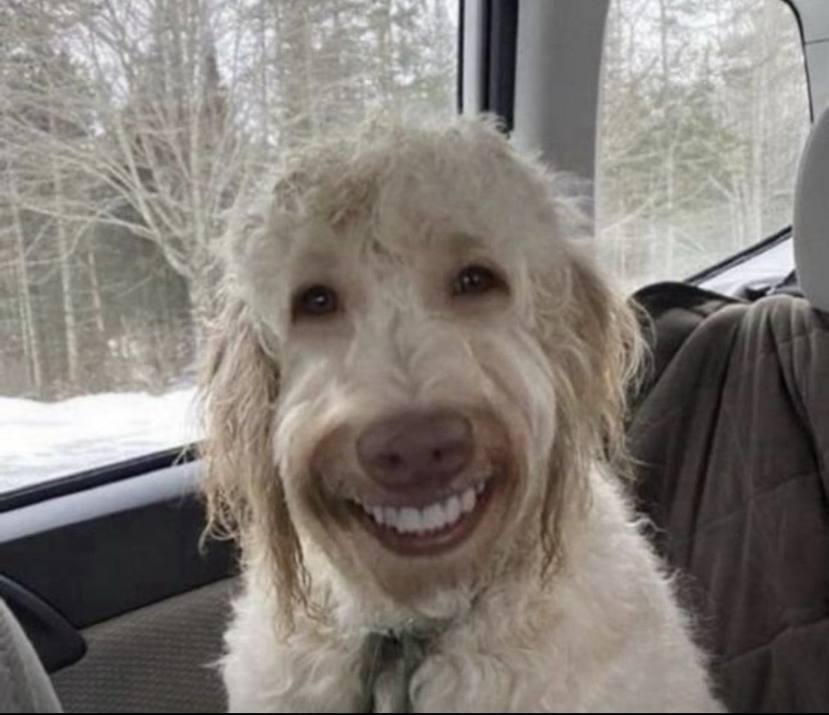 Josh 🤙 tweet media