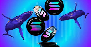 SHOVAN SARKAR (@shovans81611827) on Twitter photo 