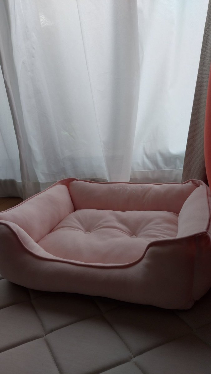 少しずつほこりが積もっていく。
今日は日向ぼっこするには天気が悪いね。