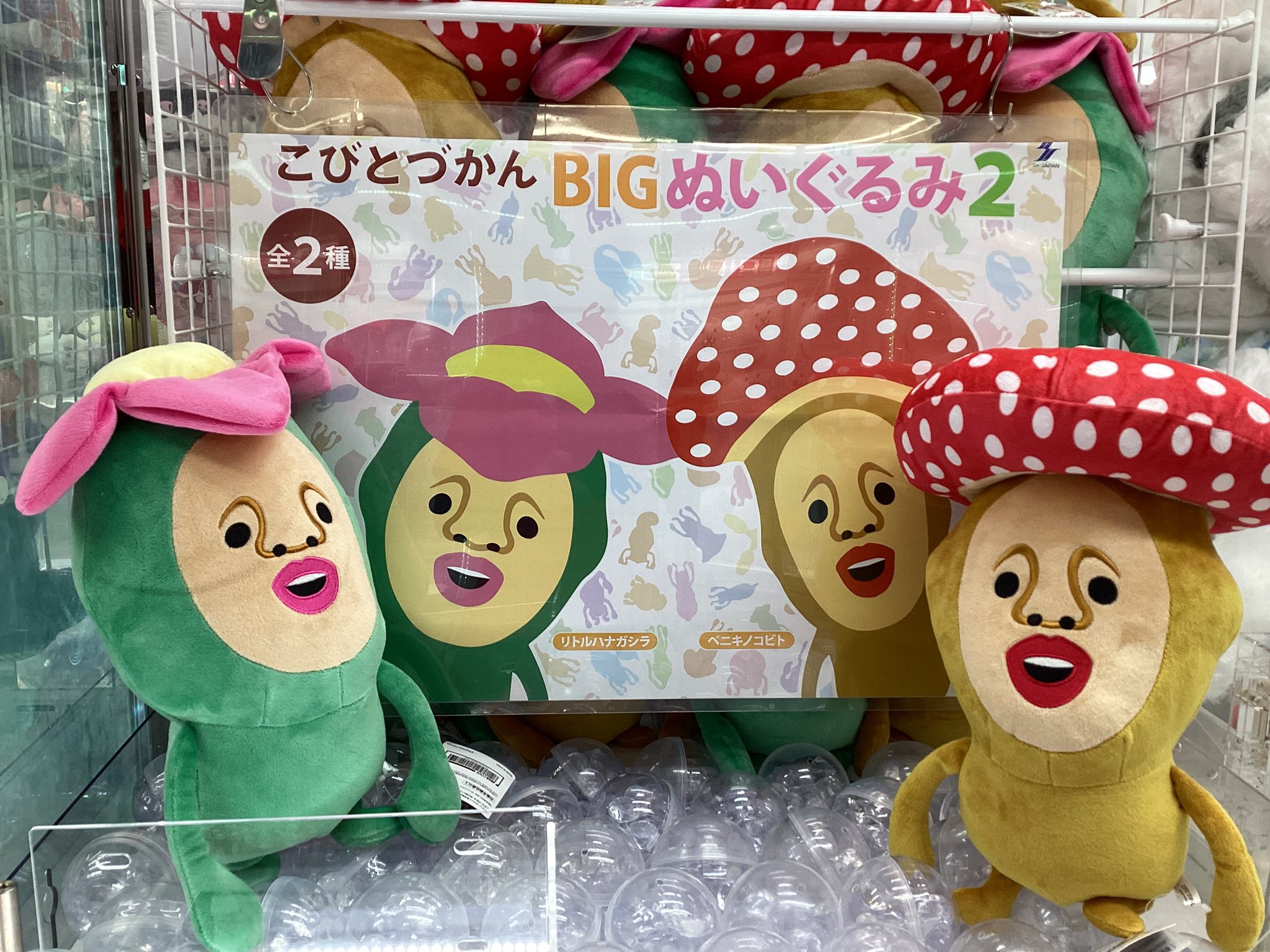 アミパラ高松店 on X: 
