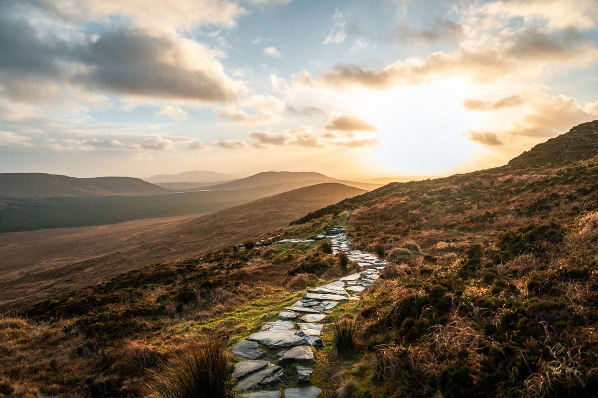 Tourism Ireland tweet media