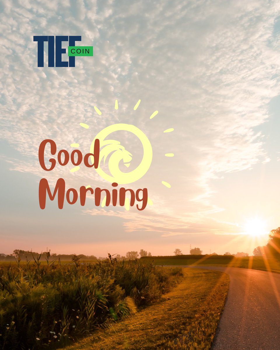 tieftoken's tweet photo. GM $TIEF #TIEF #memecoin #Memefans #Memes #TIEFCommunity https://t.co/9tNsrnFe15