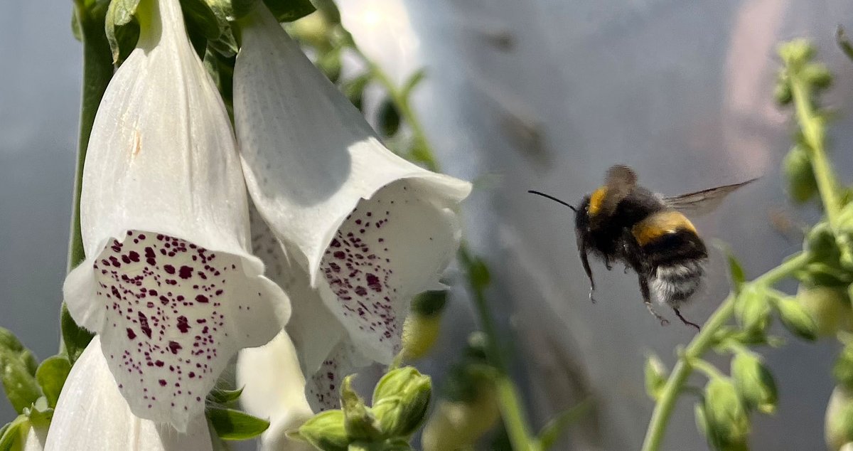 Nieuwsbrief 2/2025 - Het eerste seizoen op het Maashofpark - mailchi.mp/1b93419624c7/n…