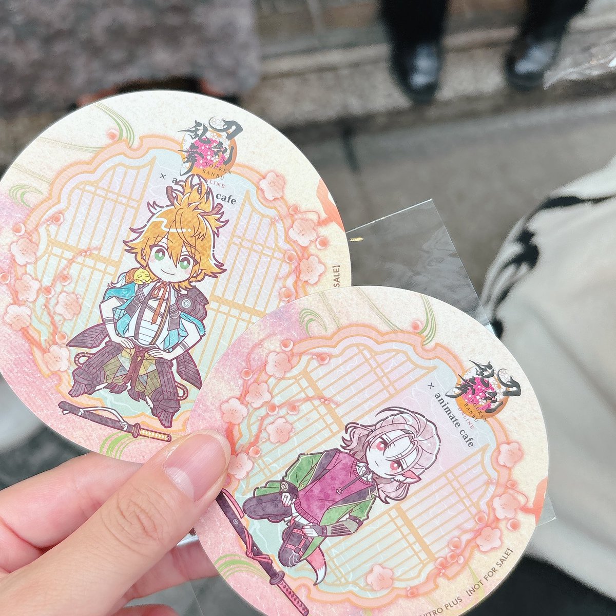 ちなみにドラフト会議かわい子ちゃん頂きました！かわいいね！！