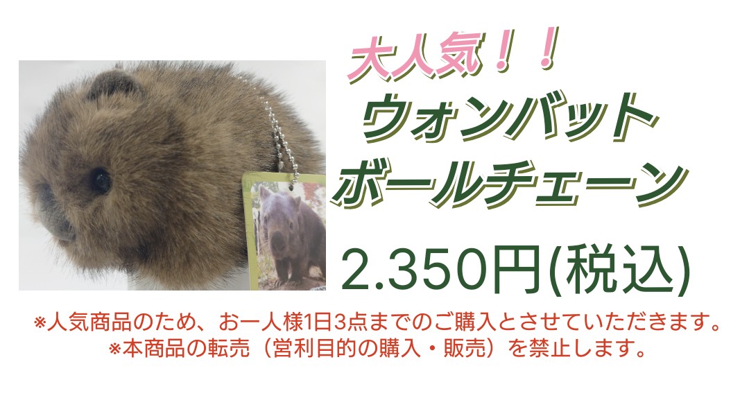 トウモロコシパーティー🌽🌽🌽✨ ＼ 明日、9/14(日)🍏から売店で販売し