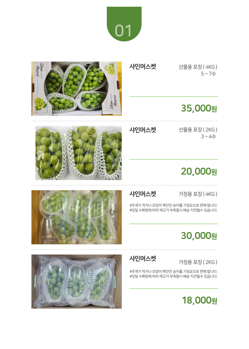 문서진(서은광) tweet media