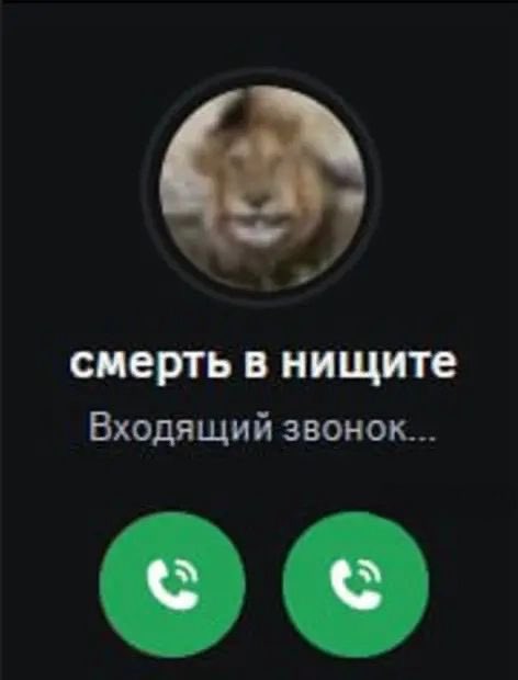 Настиш Фантастиш tweet media