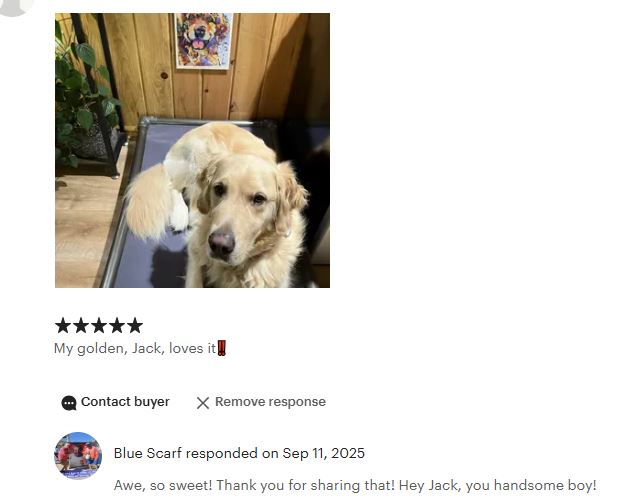 BlueScarfPrints's tweet image. Had to share this kind review, Jack approves!
#GoldenRetriever 8x10 (also available in 11x14) #Watercolor print by #RonKrajewski one of the new prints we found earlier this year, get yours today!  
#art #dogart #petportrait #abstractpainting 
linktr.ee/BlueScarfPrints