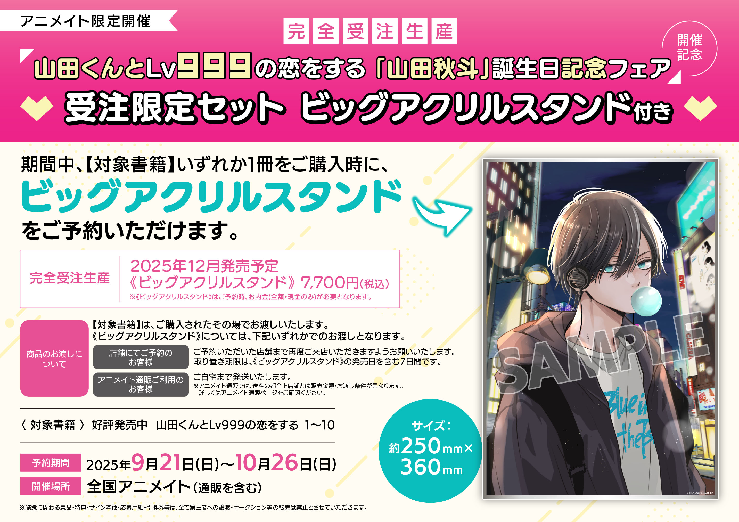 nikoꕤ︎︎·͜·様専用｜確認ページ Nico様 専用 NICO様専用 nicoさま専用