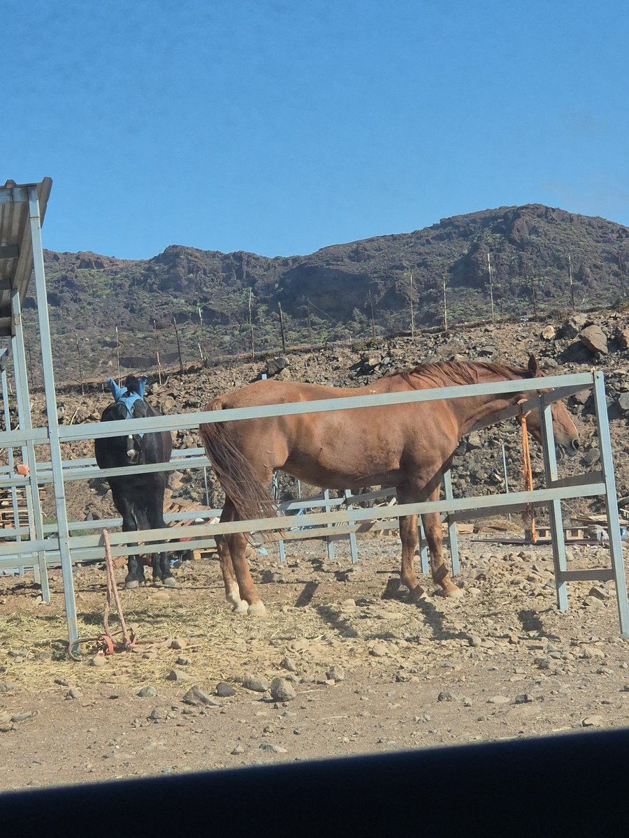 Guess wich day it's today

And no I don't mean the date