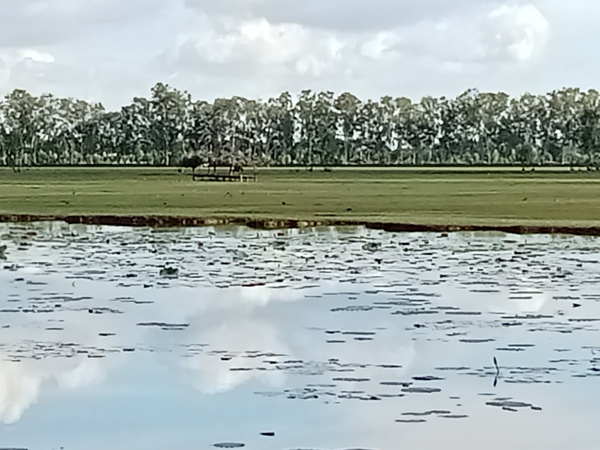 บรรยากาศมันได้