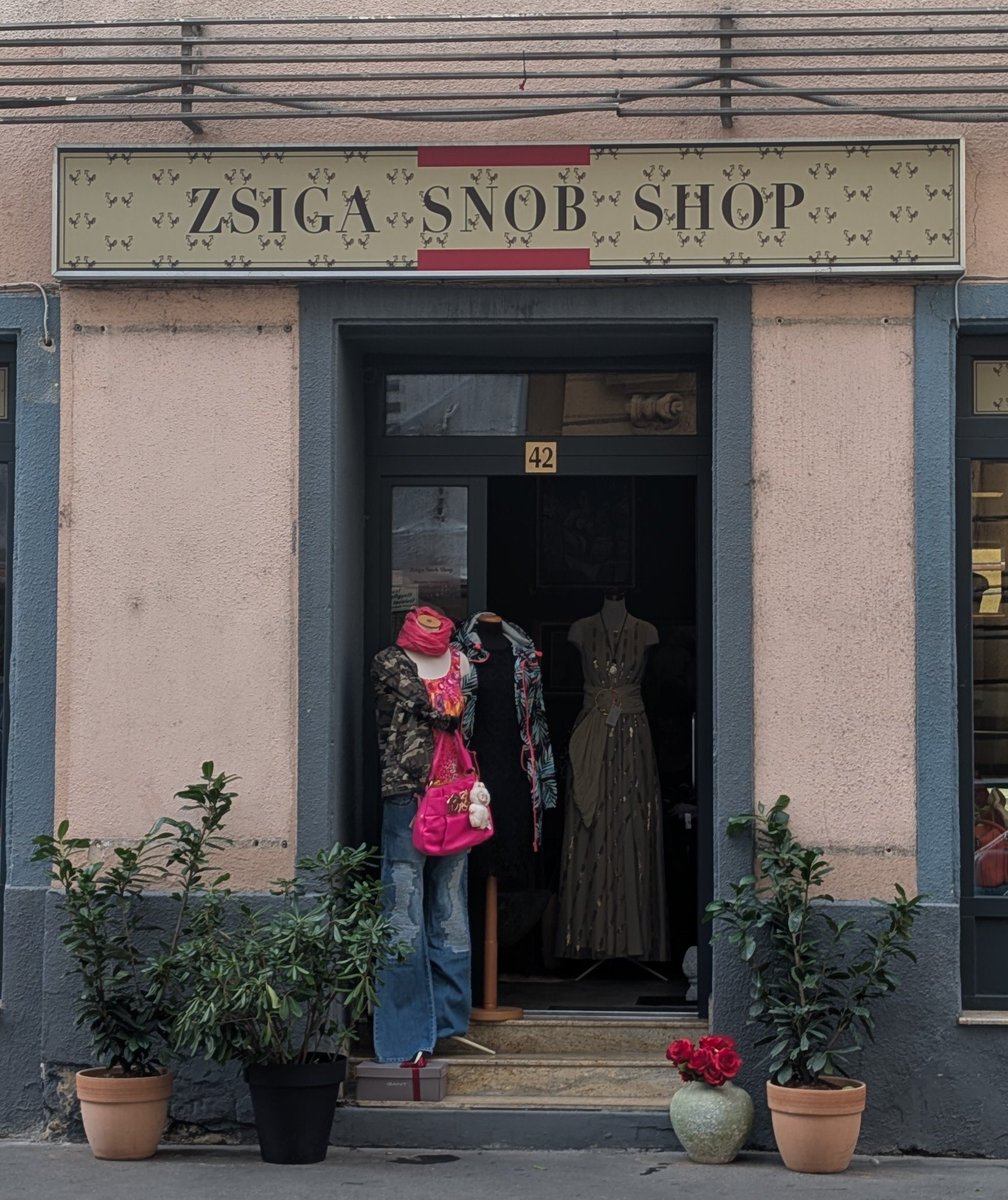 AuroraUnrealis's tweet image. Зашёл в Зига Сноб Шоп, что кому взять?