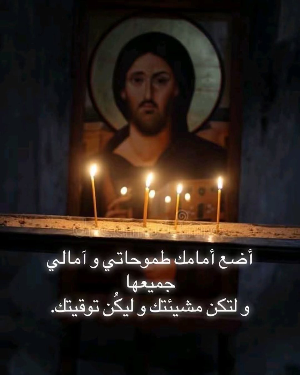 Merna Fayez (@mernafayez12) on Twitter photo 