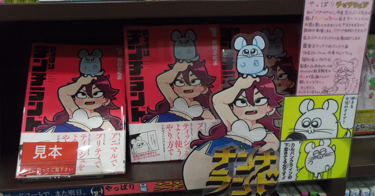 やっぱりチンチランド