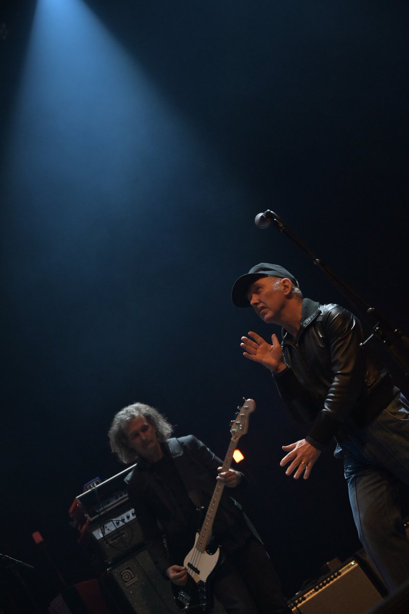 dave graney tweet media