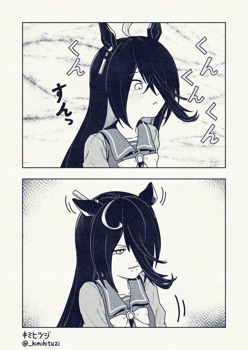 #3連休はフォロワーが増えるらしい ねこ 