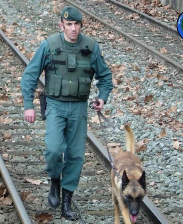 MqGuardiaCivil's tweet photo. El #ServicioCinológico K9 proporciona el aprovechamiento de las diferentes utilidades de los perros, para reforzar las modalidades de servicio que utiliza el GAR, en el cumplimiento de las misiones que tiene asignadas.
#Gar #Uar #Cae #Ade #k9police #dogpolice https://t.co/19gyYdpEEB