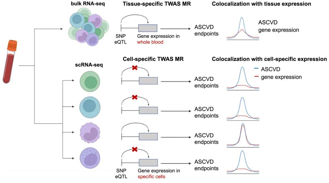 Efforts to link genetic variation to expression at single-cell level will bring us closer to understanding genetic drivers of disease risk.

Such efforts are bottlenecked by scRNAseq costs but are much more efficient in explaining disease signals than bulk-seq efforts.
