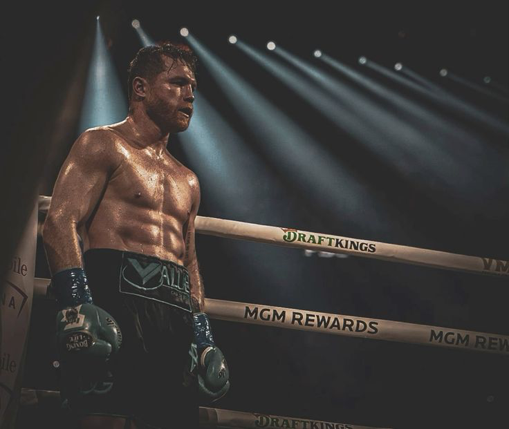 kimurasport's tweet photo. Canelo: “Boks, kadınlardan sonraki en güzel şeydir.” https://t.co/2jjt6DPw5N