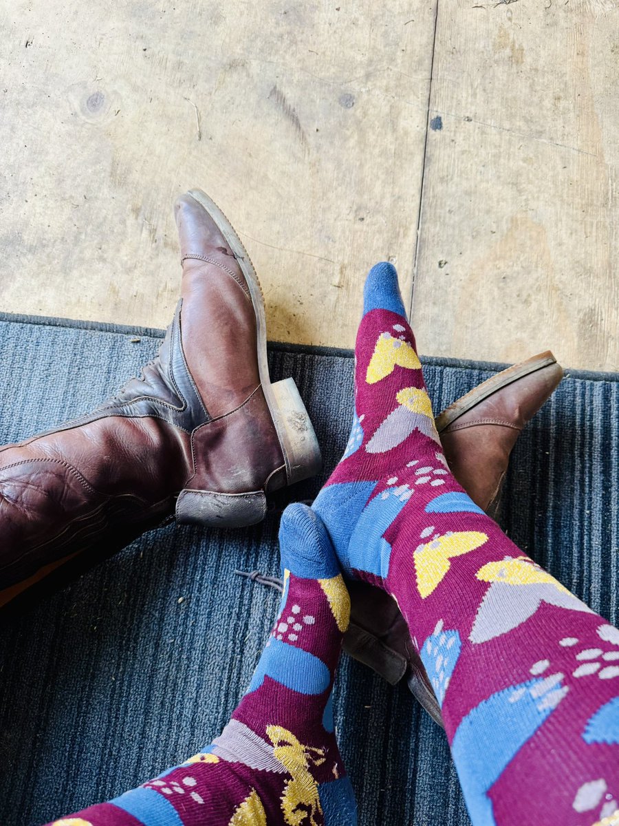 SocksMistress's tweet photo. „Eine Stunde im Sattel, Schweiß, Leder &amp; pure Spannung 🐎👢
Meine Socken in den Reitstiefeln haben heute richtig gearbeitet… Wer will sie haben? 🧦🔥
#WornSocks #SockFetish #EquestrianFetish #FeetWorship“ https://t.co/H7agyem0zT