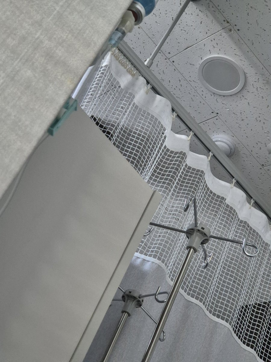 빠빼루 tweet media