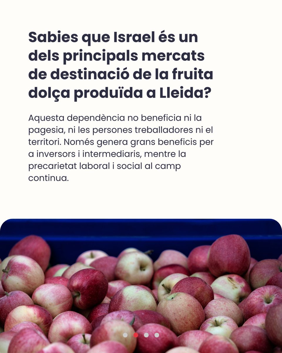 destriem_ponent's tweet image. ‼️ La fruita de #Lleida també alimenta l’ocupació i el genocidi contra el poble palestí.

🇵🇸 Seguim fins que s’acabin totes les complicitats i les relacions amb l’estat genocida d’Israel i fins que Palestina sigui lliure!

✊ Fem una crida a la solidaritat!

@proucomplicitat